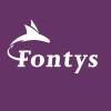 Fontys University of Applied Science Fontys University of Applied Science
